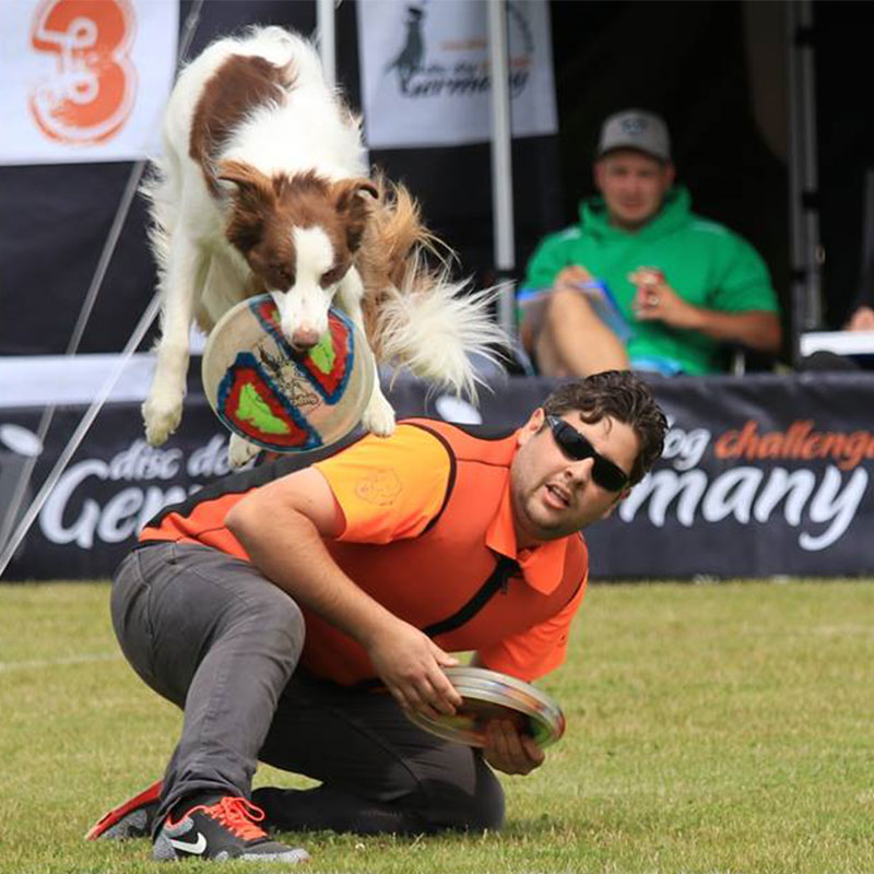 Demo Dogfrisbee